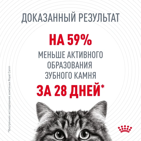 Сухой корм Royal Canin Oral Care для кошек для уменьшения образования зубного камня, 400 г фото 4