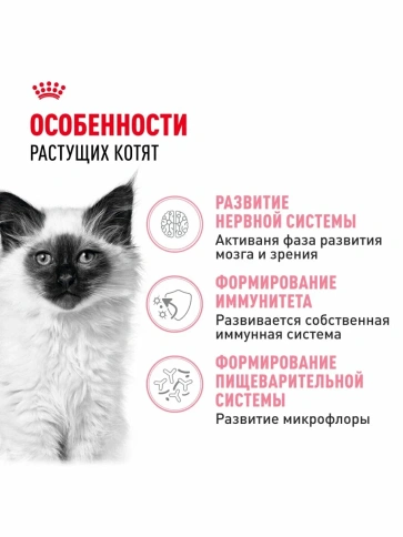 Сухой корм Royal Canin Kitten для котят от 4 до 12 месяцев, с птицей, 10 кг фото 2