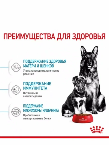 Сухой корм Royal Canin Maxi Starter Mother & Babydog для собак, 18 кг фото 2