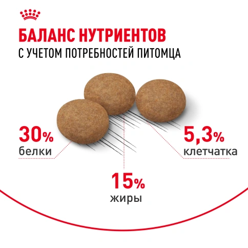 Сухой Корм Royal Canin AGEING STERILISED 12+ (ЭЙДЖИНГ СТЕРИЛАЙЗД 12+)Питание для стерилизованных кошек и кастрированных котов старше 12 лет, 2 кг фото 4