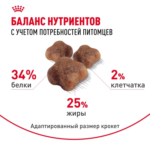 Сухой Корм Royal Canin  MOTHER AND BABYCAT (МАЗЕР ЭНД БЕБИКЭТ)Питание для котят в возрасте с 1 до 4 месяцев, а также беременных и лактирующих кошек, 4 кг фото 4