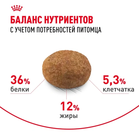 Сухой корм Royal Canin Sterilised 7+ для стерилизованных кошек и кастрированных котов старше 7 лет, 3,5 кг фото 4