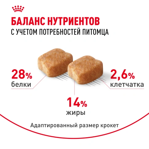 Сухой корм Royal Canin Dachshund Adult для собак породы такса, 1.5 кг фото 4