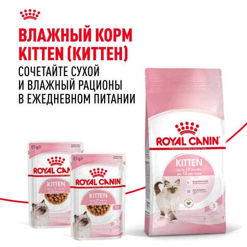 Сухой Корм Royal Canin  KITTEN (КИТТЕН) Питание для гармоничного роста котят в возрасте с 4 до 12 месяцев, 2 кг фото 8