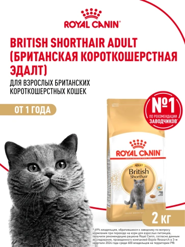 Сухой Корм Royal Canin BRITISH SHORTHAIR (БРИТИШ ШОРТХЭЙР)Специальное питание для кошек породы британская короткошерстная, а также для кошек породы шотландская вислоухая в возрасте от 1 года и старше, 2 кг фото 12