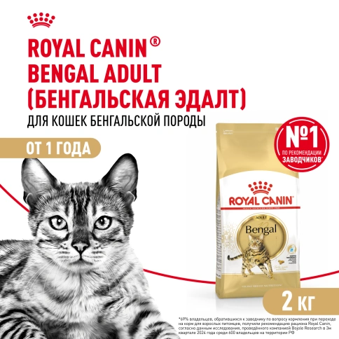 Сухой Корм Royal Canin BENGAL (БЕНГАЛ)Специальное питание для кошек бенгальской породы, в возрасте от 1 года и старше, 2 кг фото 1