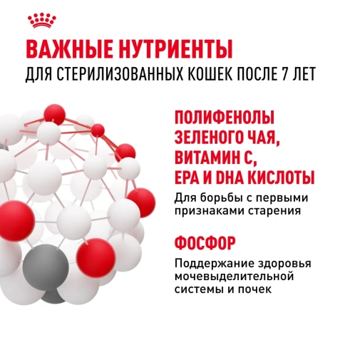 Сухой корм Royal Canin Sterilised 7+ для стерилизованных кошек и кастрированных котов старше 7 лет, 1,5 кг фото 5