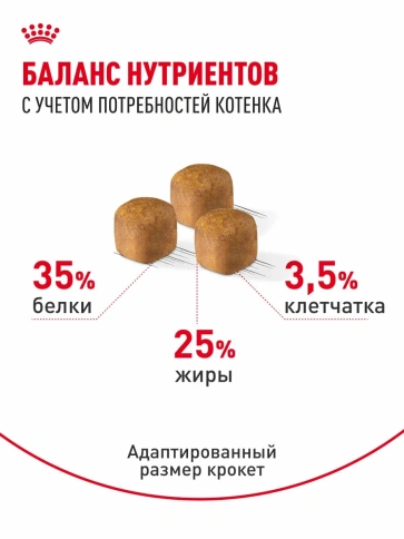 Сухой корм Royal Canin Sphynx Kitten для котят породы сфинкс до 12 месяцев, 400 г фото 4