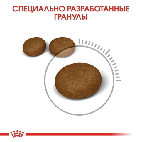 Сухой корм Royal Canin Hair & Skin Care для взрослых кошек с чувствительной кожей и проблемной шерстью, 400 г фото 5