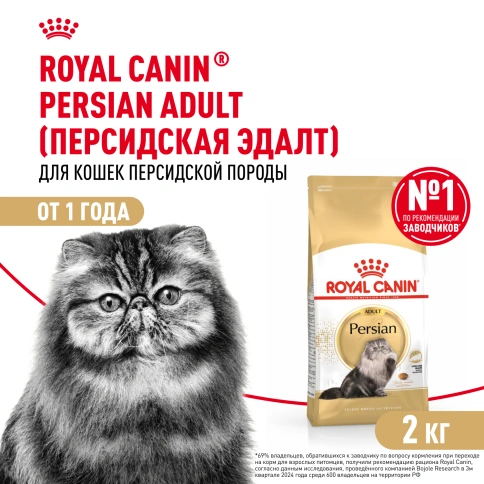Сухой Корм Royal Canin PERSIAN (ПЕРСИАН)Специальное питание для кошек персидской породы, а также для кошек экзотической короткошерстной породыв возрасте от 1 года и старше, 2 кг фото 1