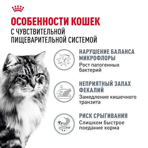 Сухой Корм Royal Canin DIGESTIVE CARE (ДАЙДЖЕСТИВ КЭА)Питание для кошек в возрасте от 1 года и старше, обеспечивает здоровье кожи, красоту и блеск шерсти после 21 дня кормления, 2 кг фото 2