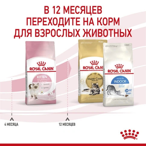 Сухой корм Royal Canin Kitten для котят от 4 до 12 месяцев, с птицей, 300 г фото 10