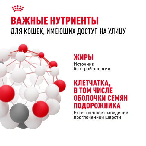 Сухой Корм Royal Canin FIT (ФИТ)Питание для кошек с умеренной активностью, имеющих доступ на улицу, в возрасте от 1 года до 7 лет, 2 кг фото 5