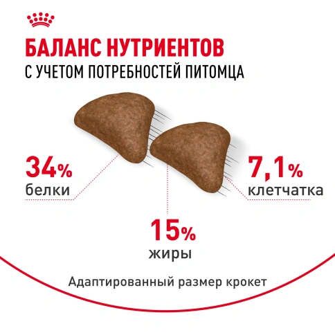 Сухой Корм Royal Canin HAIRBALL CARE (ХЭЙРБОЛ КЭА)Питание для кошек в возрасте от 1 года и старше, способствует в 2 раза более эффективному выведению волосяных комочков за 21 день, 2 кг фото 4