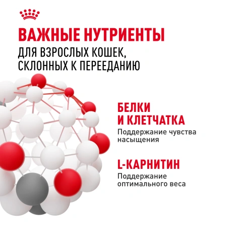 Сухой Корм Royal Canin APPETITE CONTROL CARE (АППЕТАЙТ КОНТРОЛ КЭА)Питание для кошек в возрасте от 1 года и старше. Контроль выпрашивания корма у кошек, предрасположенных к набору лишнего веса, в том числе после стерилизации, 2 кг фото 5