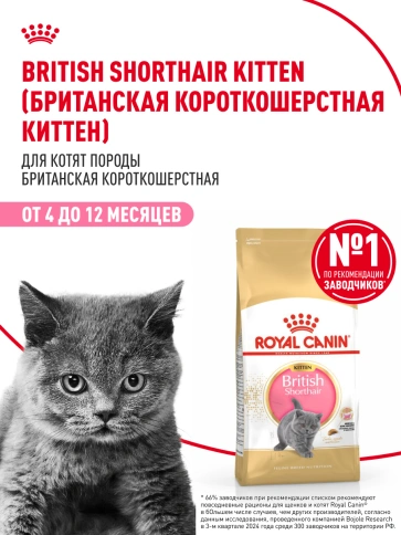 Сухой Корм Royal Canin KITTEN BRITISH SHORTHAIR (КИТТЕН БРИТИШ ШОРТХЭЙР) Birth &amp; GrowthСпециальное питание для котят породы британская короткошерстная в возрасте от 4 до 12 месяцев фото 14