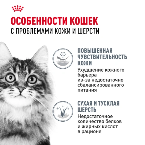 Сухой Корм Royal Canin HAIR &amp; SKIN CARE (ХЭЙР ЭНД СКИН КЭА)Питание для кошек в возрасте от 1 года и старше, обеспечивает здоровье кожи, красоту и блеск шерсти после 21 дня кормления, 2 кг фото 2