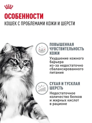 Влажный корм Royal Canin Hair & Skin Care в соусе для взрослых кошек, для здоровья кожи и шерсти, пауч, 85 г фото 2