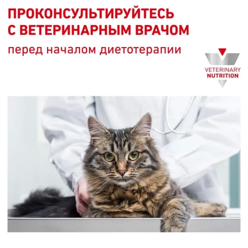 Сухой корм Royal Canin Anallergenic AN24 для взрослых кошек при тяжелой пищевой аллергии, 2 кг фото 8