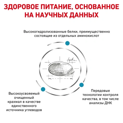 Сухой корм Royal Canin Anallergenic AN18 для взрослых собак при тяжелой пищевой аллергии, 3 кг фото 4