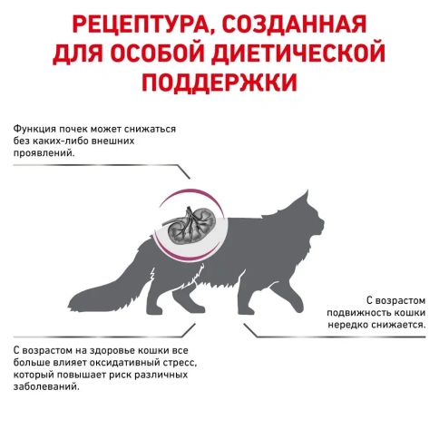 Сухой диетический корм Royal Canin Early Renal для взрослых кошек при ранней стадии почечной недостаточности, 400 г фото 3