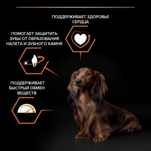 Сухой корм Purina Pro Plan Small & Mini для взрослых собак средних и мелких пород, курица и рис, 700 г фото 2