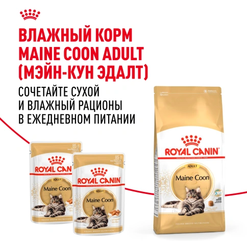 Сухой Корм Royal Canin MAINE COON (МЕЙН-КУН)Специальное питание для кошек породы мейн-кун, а также для кошек крупных размеров: сибирской,норвежской лесной и других, в возрасте от 15 месяцев и старше фото 8