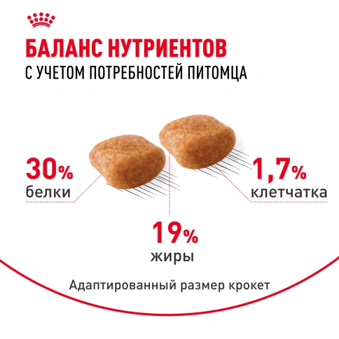 Сухой корм Royal Canin Poodle Adult для взрослых собак, 1.5 кг фото 5