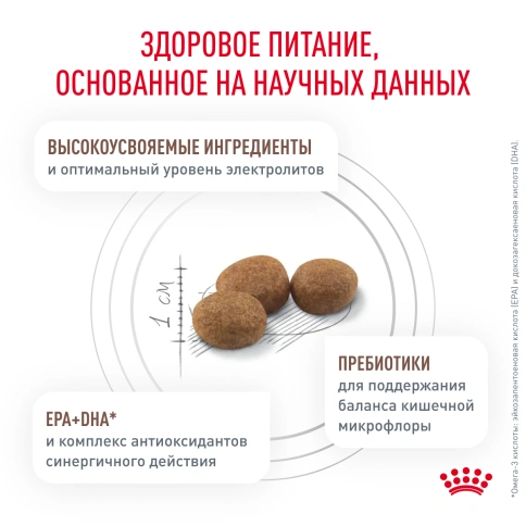 Сухой Корм Royal Canin  GASTROINTESTINAL MODERATE CALORIE ДИЕТА ДЛЯ КОШЕК, СКЛОННЫХ К НАБОРУ ВЕСА, ПРИ РАССТРОЙСТВАХ ПИЩЕВАРЕНИЯ, 2 кг фото 4