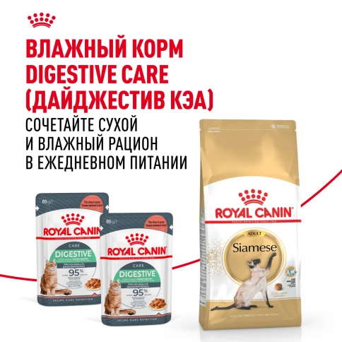 Сухой Корм Royal Canin SIAMESE (СИАМИЗ) Специальное питание для кошек сиамской породы, а также для кошек сиамо-ориентальной группы пород в возрасте от 1 года и старше, 2 кг фото 8