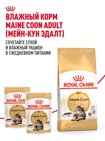 Сухой Корм Royal Canin MAINE COON (МЕЙН-КУН)Специальное питание для кошек породы мейн-кун, а также для кошек крупных размеров: сибирской,норвежской лесной и других, в возрасте от 15 месяцев и старше фото 29