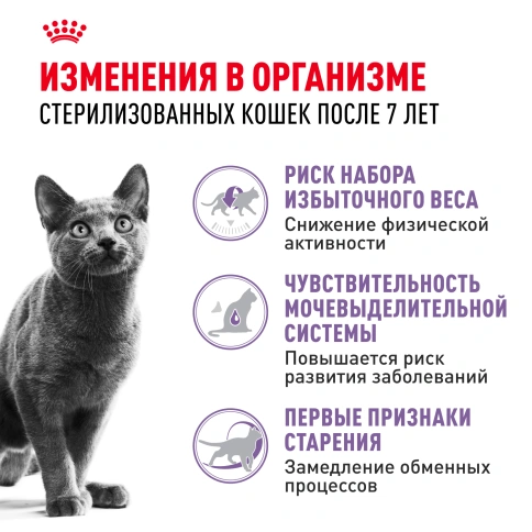 Сухой Корм Royal Canin STERILISED 7+ (СТЕРИЛАЙЗД 7+)Питание, способствующее поддержанию оптимального веса, для стерилизованных кошек и кастрированных котов в возрасте старше 7 лет фото 2