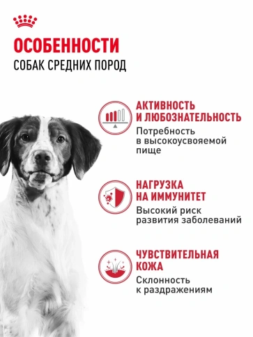 Сухой корм Royal Canin Medium Adult для взрослых собак средних пород, 15 кг фото 3