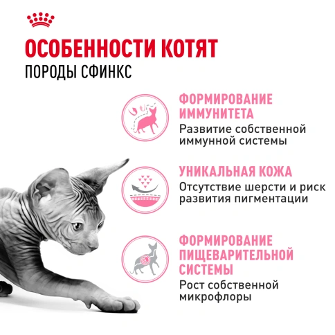 Сухой Корм Royal Canin KITTEN SPHYNX (КИТТЕН СФИНКС) Birth & GrowthСпециальное питание для кошек породы сфинкс в возрасте от 4  до 12 месяцев, 2 кг фото 2