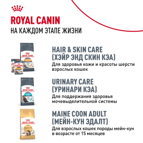 Сухой Корм Royal Canin KITTEN MAINE COON (КИТТЕН МЕЙН-КУН) Birth &amp; GrowthСпециальное питание для котят породы мейн-кун, а также для сибирских, норвежских лесных и других крупныхполудлинношерстных котят в возрасте от 3 до 15 месяцев фото 10