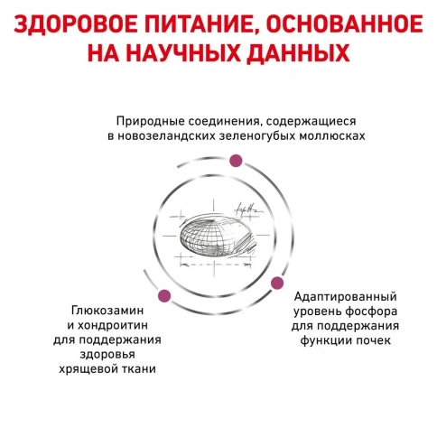Диетический сухой корм Royal Canin Mobility для кошек при заболеваниях опорно-двигательного аппарата, 2 кг фото 3