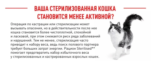 Сухой Корм Royal Canin STERILISED (СТЕРИЛАЙЗД)Питание для кастрированных котов и стерилизованных кошек в возрасте от 1 года до 7 лет; поддерживает оптимальный вес, снижает риск заболеваний мочевыводящих путей фото 15