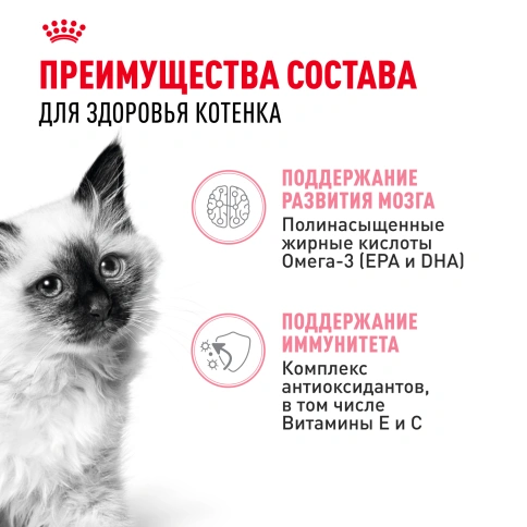 Влажный корм Royal Canin Kitten в соусе для котят до 12 месяцев, пауч, 85 г фото 12