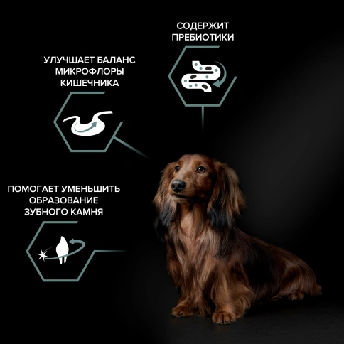 Сухой корм Purina Pro Plan Adult Small & Mini Sensitive Digestion для собак мелких пород, с ягненком, 3 кг фото 2