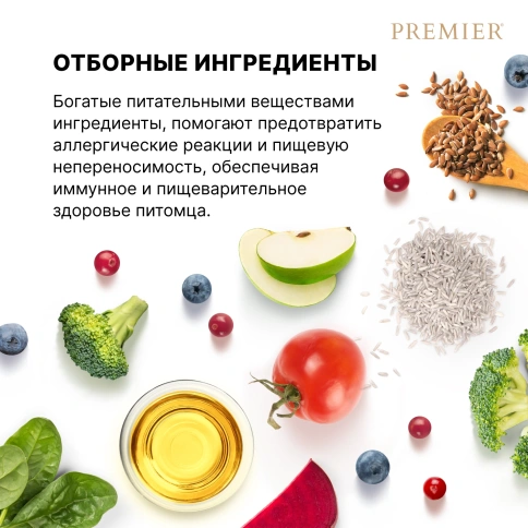 Сухой корм Premier Dog Salmon & Turkey Adult Medium для собак средних пород, 1 кг фото 7