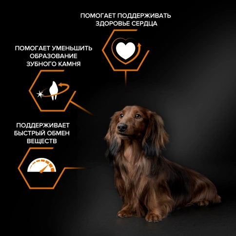 Сухой корм Purina Pro Plan Small & Mini для взрослых собак мелких и карликовых пород, курица и рис, 7 кг фото 2