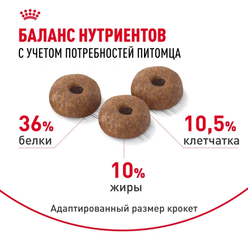 Сухой Корм Royal Canin LIGHT WEIGHT CARE (ЛАЙТ ВЭЙТ КЭА)Питание для кошек, предрасположенных к избыточному весу, содержит на 17 % меньше калорий, но при этом обеспечивает чувство сытости фото 4