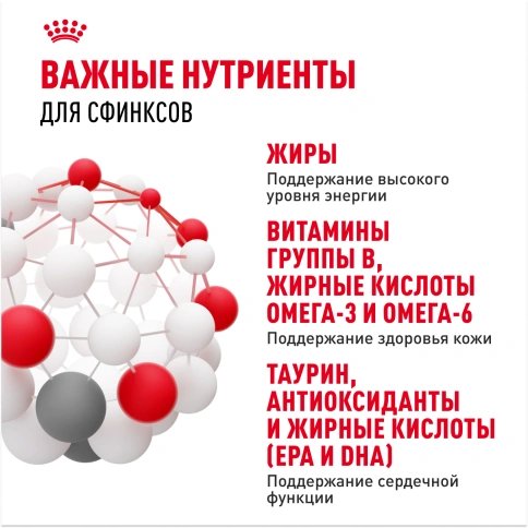 Сухой Корм Royal Canin SPHYNX (СФИНКС)Специальное питание для кошек породы сфинкс в возрасте от 1 года и старше, 2 кг фото 5