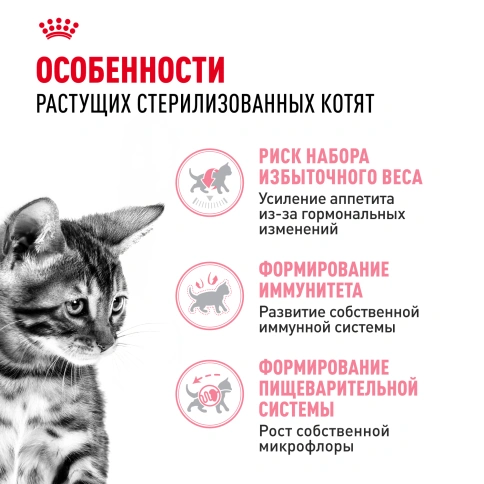 Сухой Корм Royal Canin KITTEN STERILISED (КИТТЕН СТЕРИЛАЙЗД)Питание для стерилизованных котят с момента операции до 12 месяцев, 3.5 кг фото 2