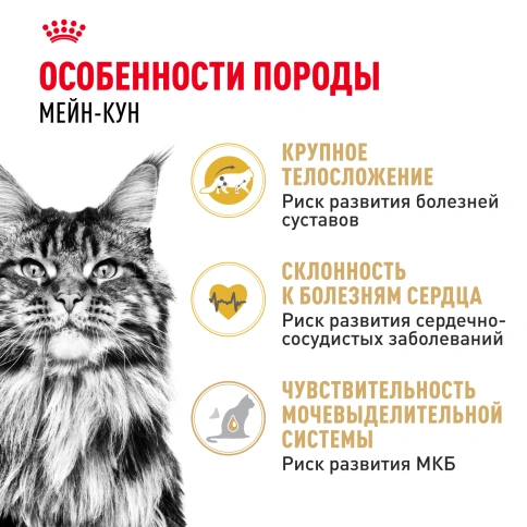 Сухой Корм Royal Canin MAINE COON (МЕЙН-КУН)Специальное питание для кошек породы мейн-кун, а также для кошек крупных размеров: сибирской,норвежской лесной и других, в возрасте от 15 месяцев и старше фото 2