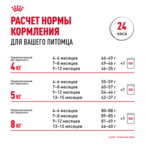 Сухой корм Royal Canin Kitten Maine Coon для котят, 10 кг фото 10
