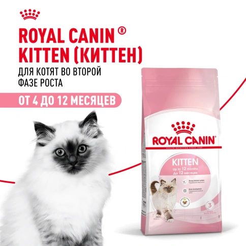 Сухой Корм Royal Canin  KITTEN (КИТТЕН) Питание для гармоничного роста котят в возрасте с 4 до 12 месяцев, 2 кг фото 14