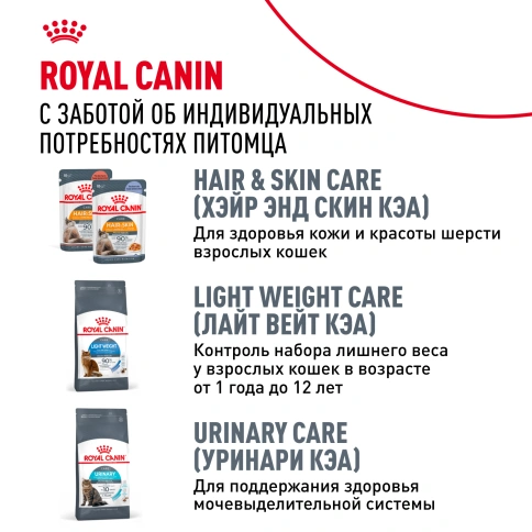 Сухой Корм Royal Canin SIAMESE (СИАМИЗ) Специальное питание для кошек сиамской породы, а также для кошек сиамо-ориентальной группы пород в возрасте от 1 года и старше, 2 кг фото 10