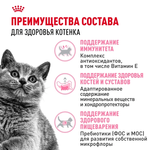 Сухой Корм Royal Canin KITTEN BRITISH SHORTHAIR (КИТТЕН БРИТИШ ШОРТХЭЙР) Birth &amp; GrowthСпециальное питание для котят породы британская короткошерстная в возрасте от 4 до 12 месяцев фото 3