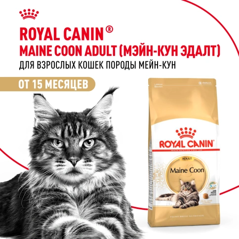 Сухой корм Royal Canin Maine Coon для кошек, 4 кг фото 12